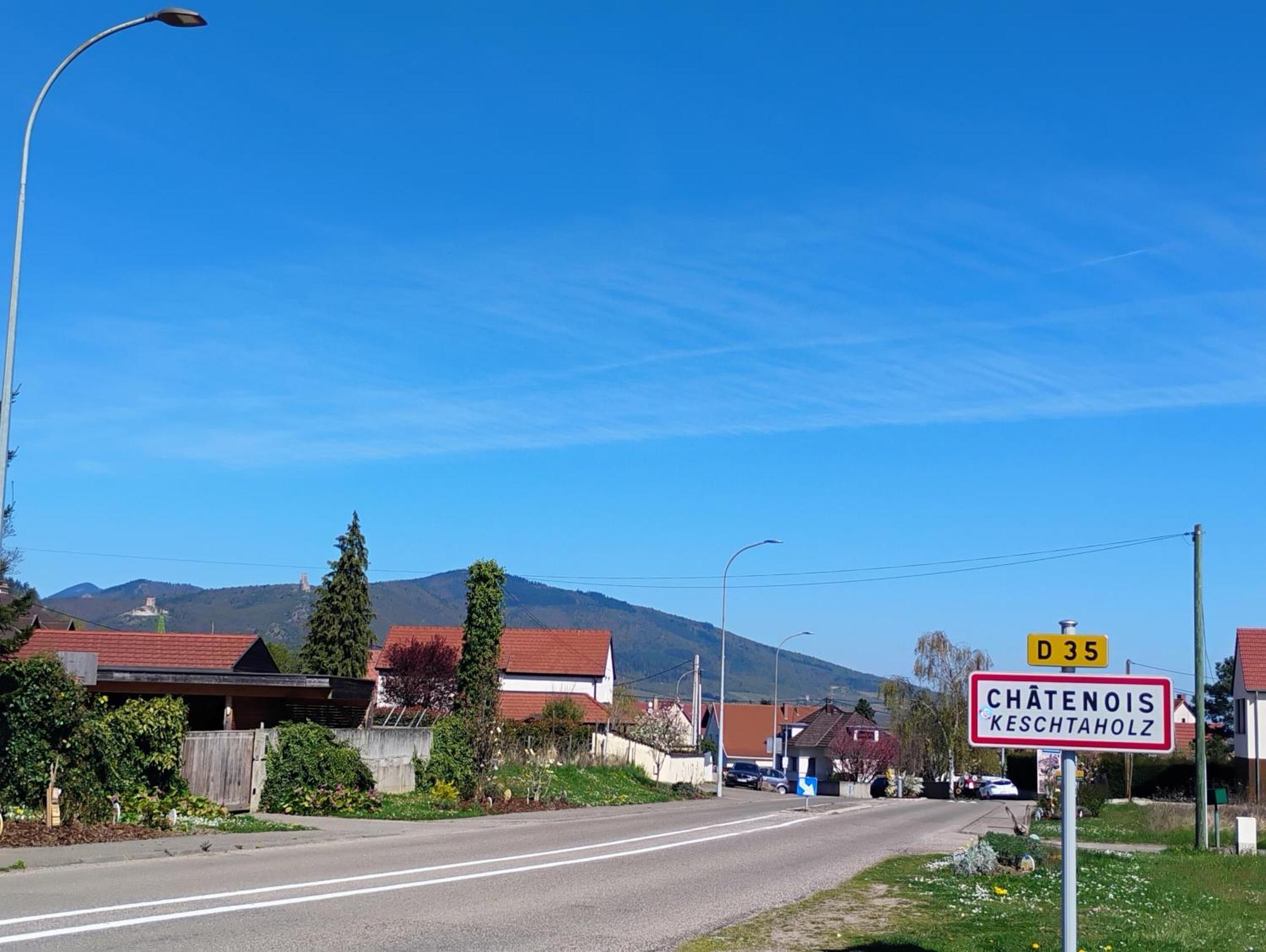Gite Le Marronnier - Au Calme - Parking & Terrasse - Pres De Colmar Et Riquewihr - Route Des Vins Châtenois Exterior foto